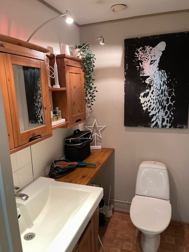 WC-tilan remontti 8